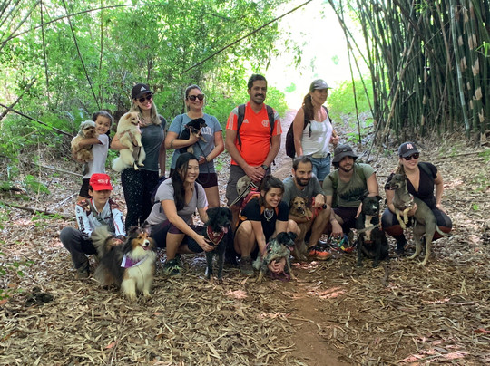 Roteiros De Aventura