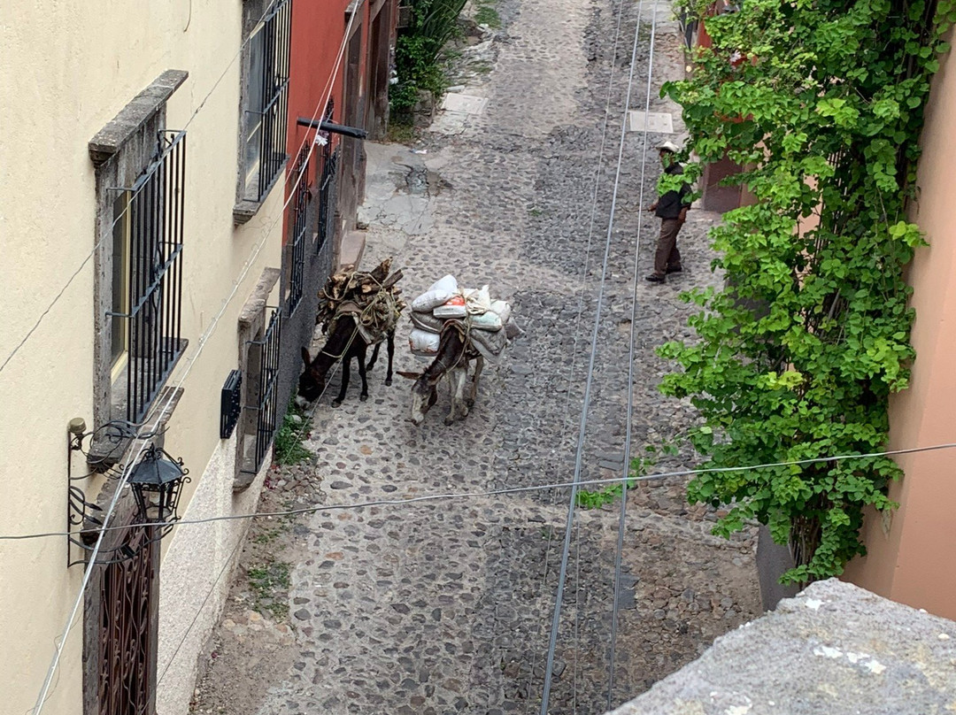 Mansion San Miguel主图