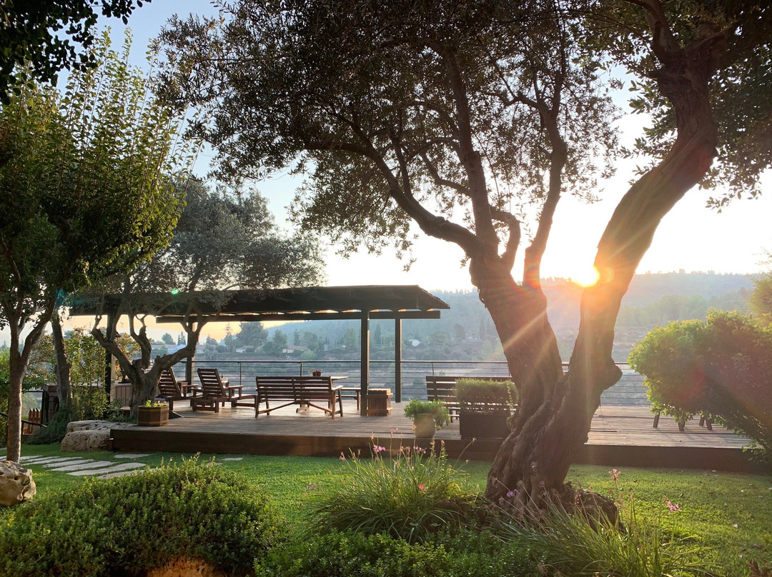 Etz VaMaim-Ein Kerem必去景点