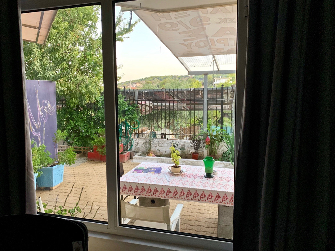 Artemis GreenHill主图