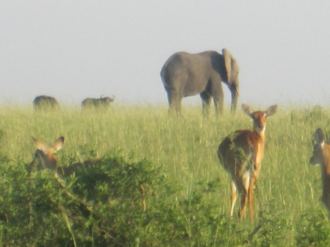 African Rock Safaris Ltd-坎帕拉必去景点