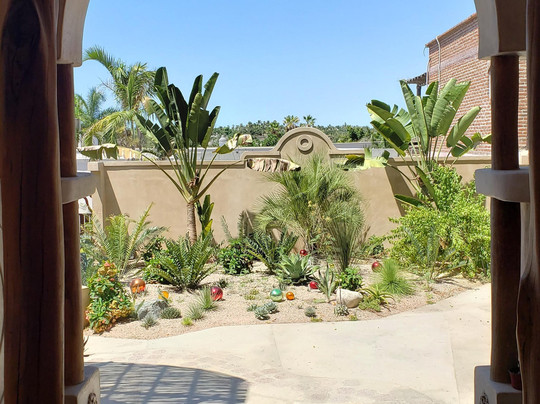 Danny Boy Cabo-卡波圣卢卡斯必去景点