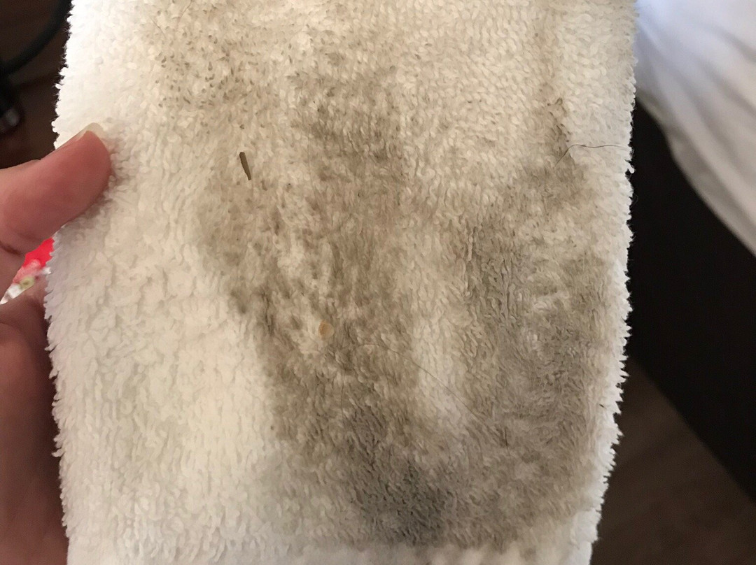 Comfort Inn Birmingham Homewood主图