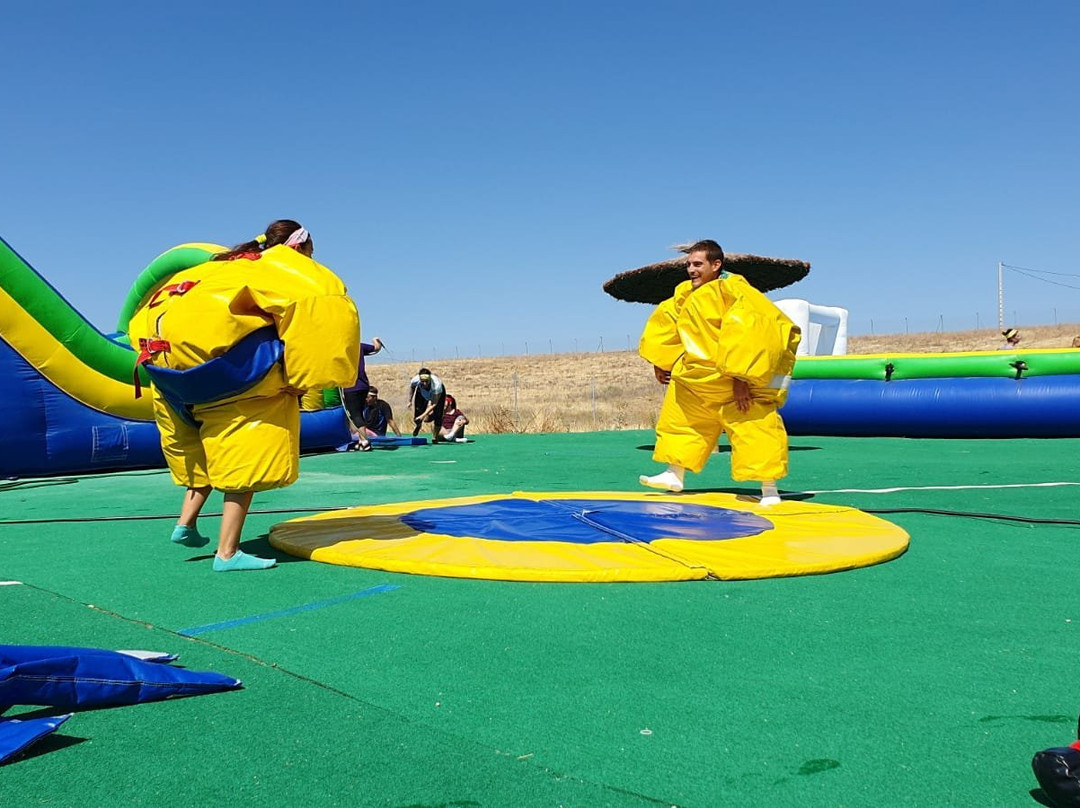 Action Live Paintball Madrid-马德里必去景点