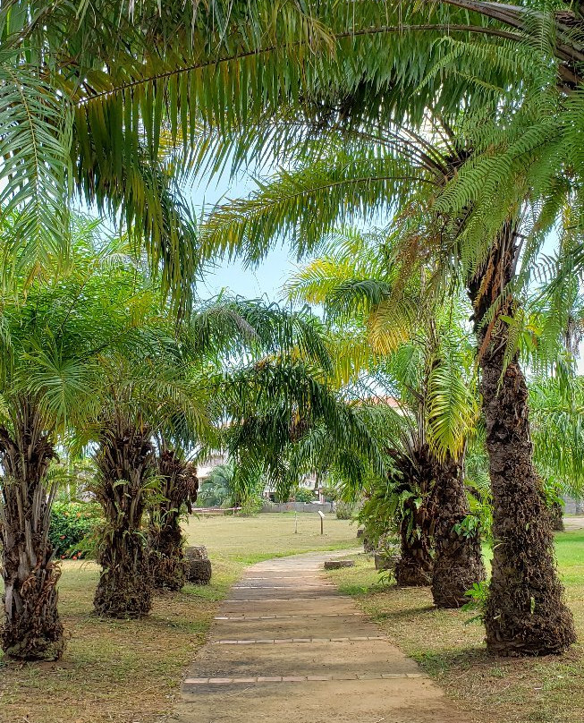 Jardin Botanique-卡宴必去景点