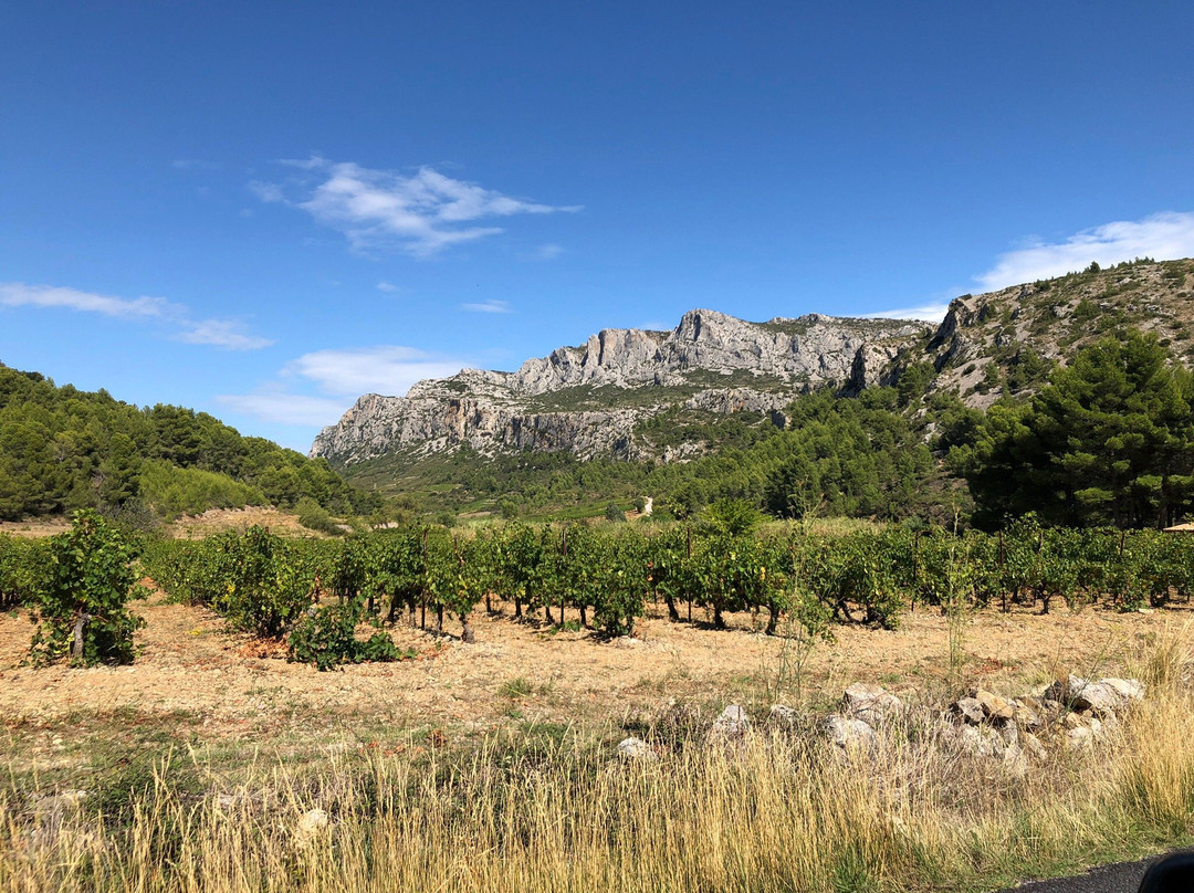 Domaine Vents du Sud景点图片