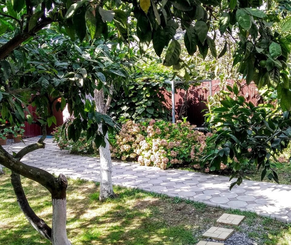 Guest House Kamelia主图