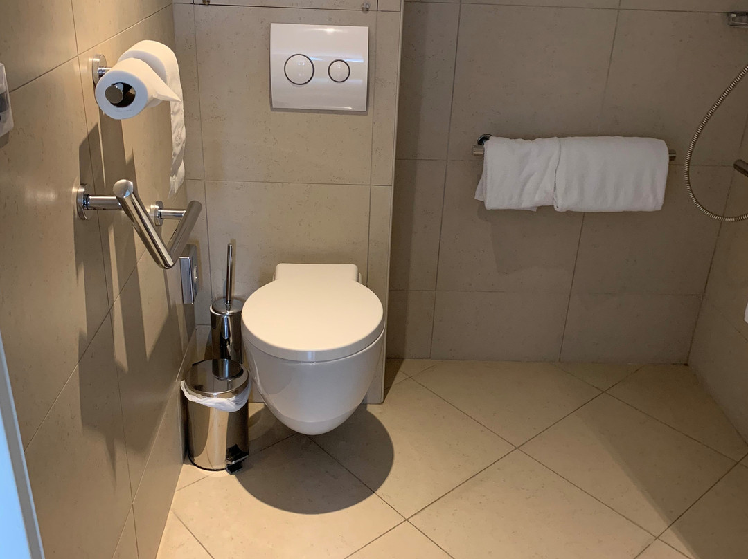 Best Western Plus Hotel Des Francs主图