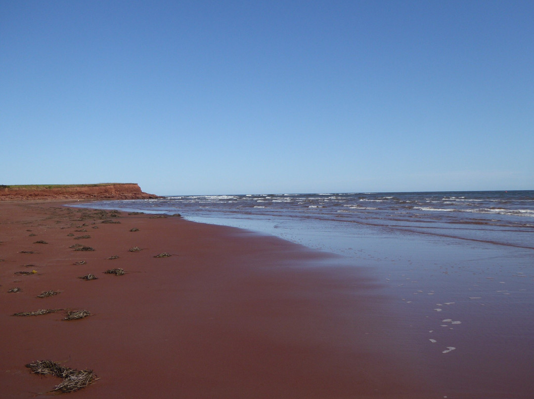 Beach House Inn主图