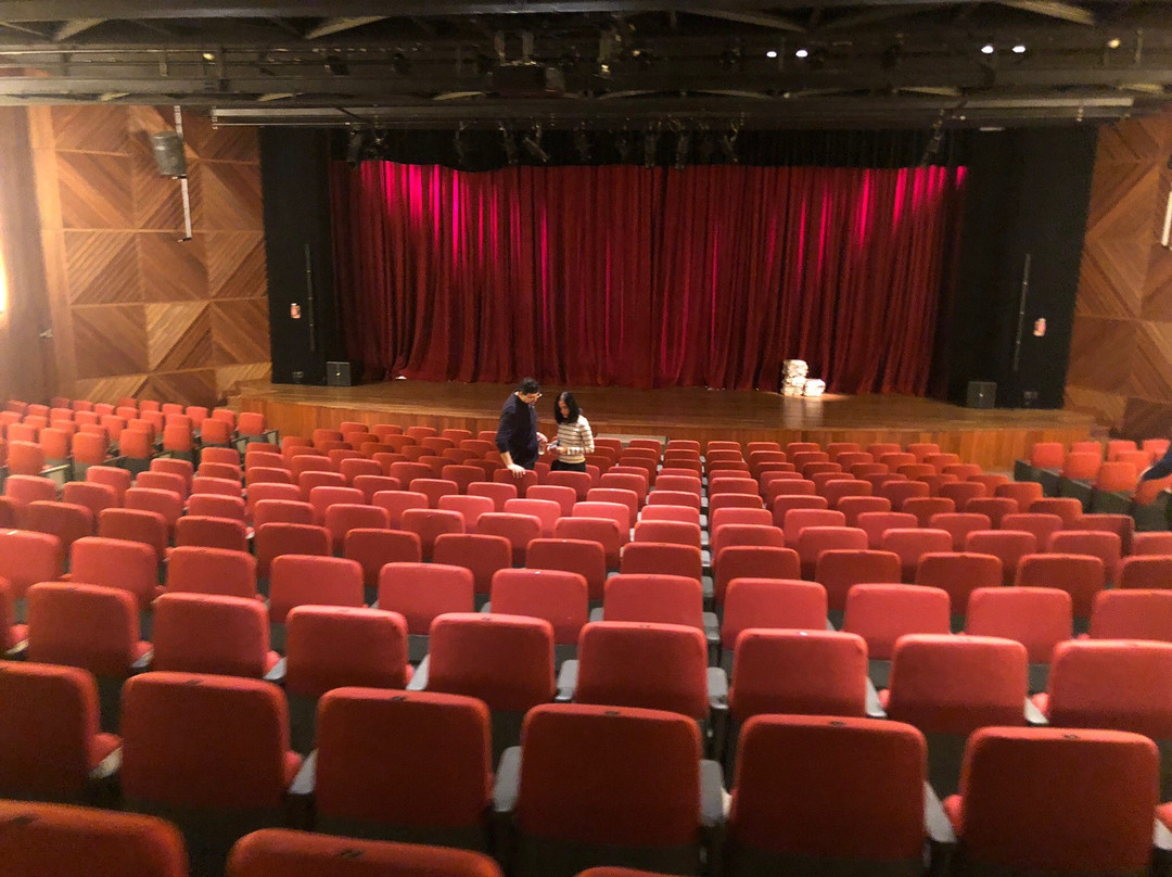Teatro Raul Cortez-圣保罗必去景点