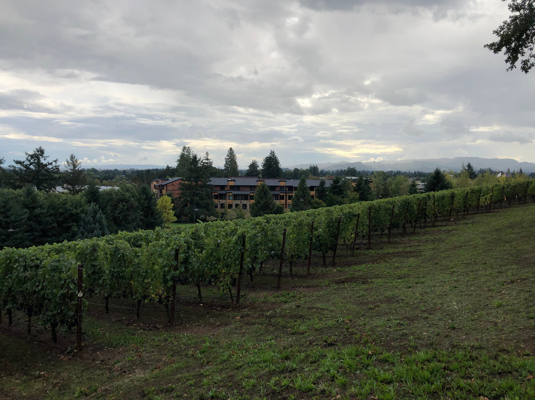 Allison Inn & Spa主图