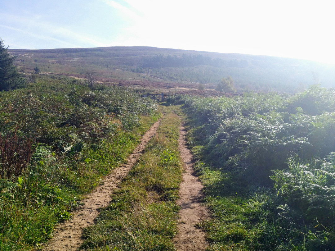 Lordstones Country Park景点图片