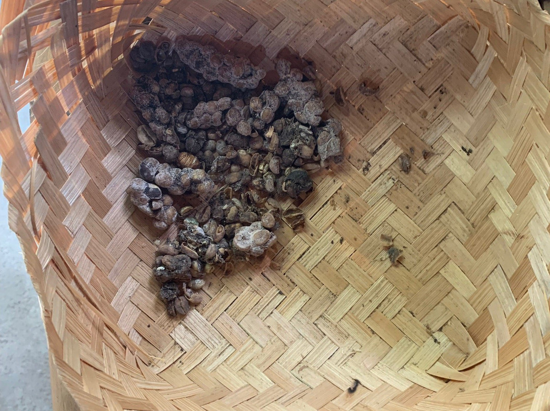 Alam Sari Agrotourism景点图片