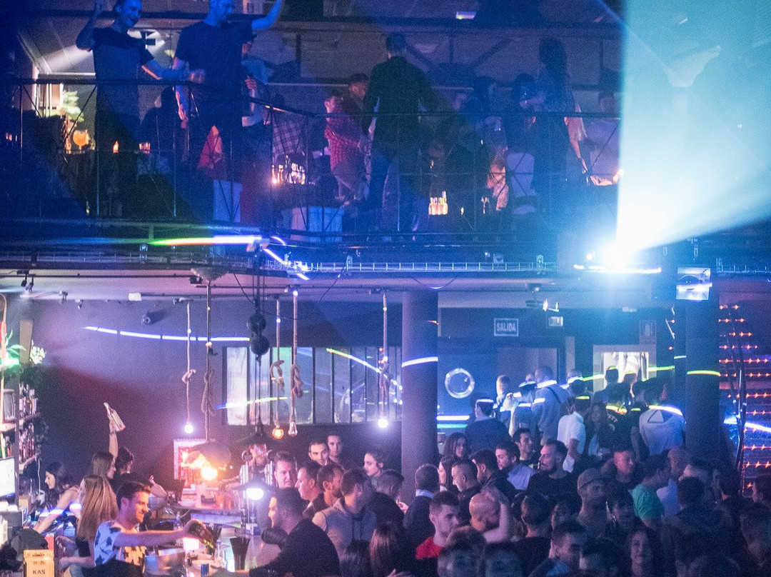 The Jungle Dancefloor-Carrizo de la Ribera必去景点