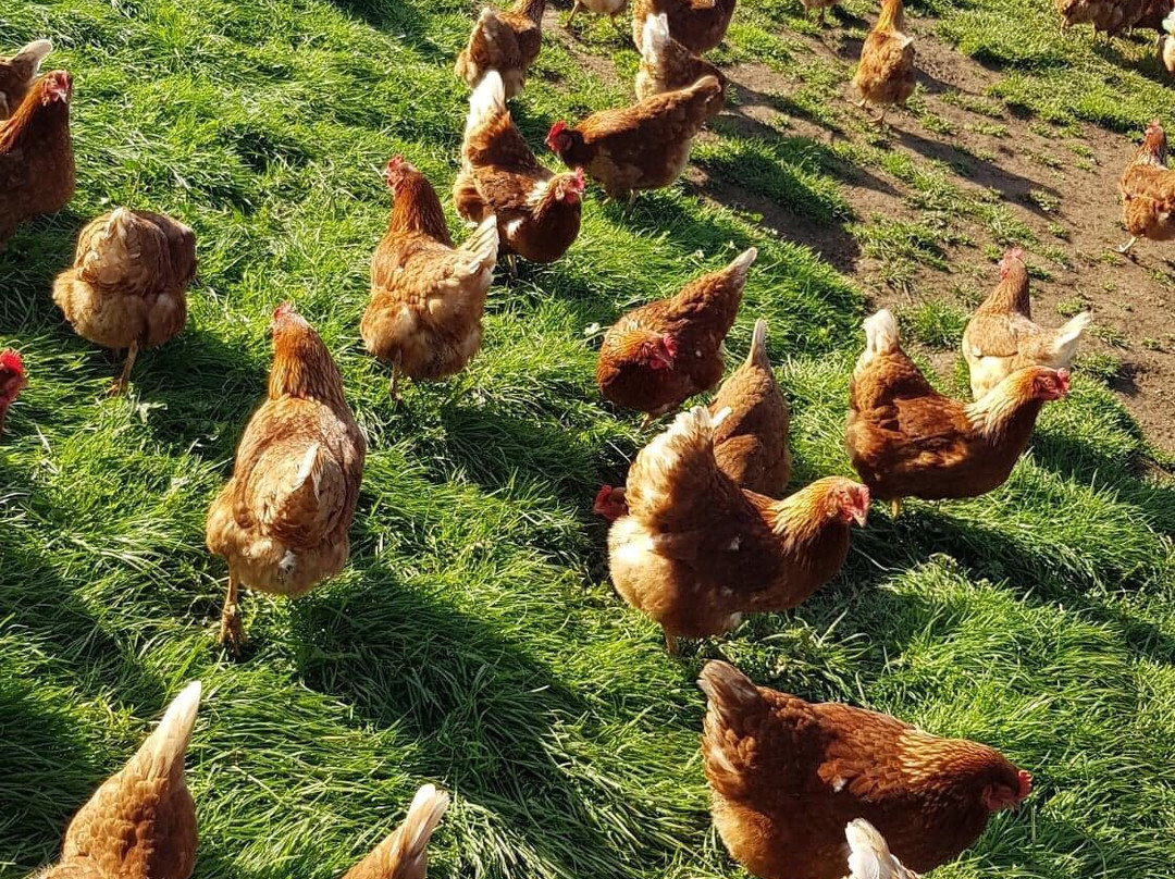 Bimbadeen Phillip Island主图