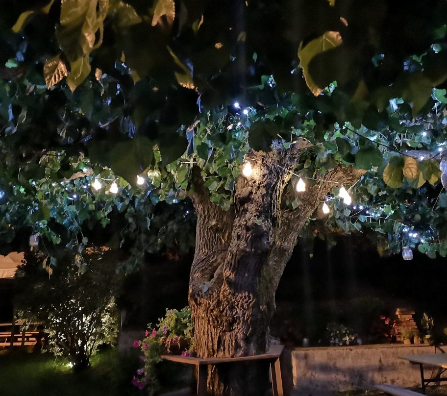 Agriturismo Da Luca Corin景点图片