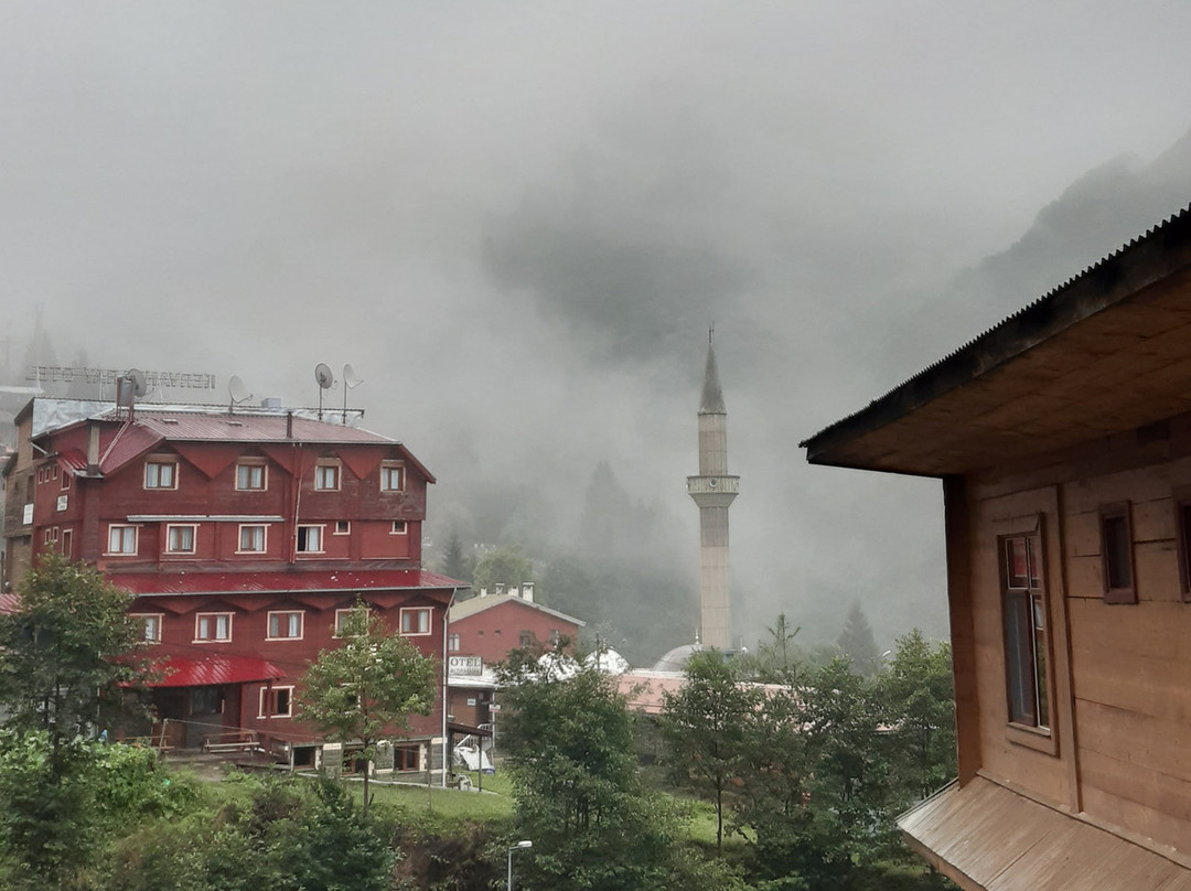 Yesil Vadi Otel主图