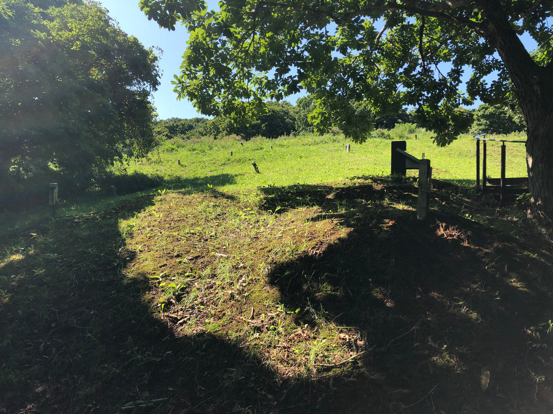 Kaminokunidate Remains - Remains of Katsuyamakan-上之国町必去景点