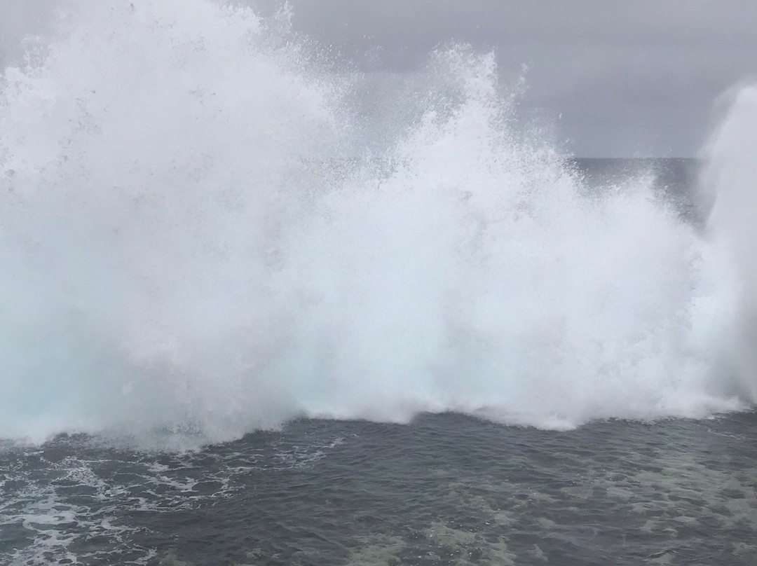 Tonga Travel Troupe-努库阿洛法必去景点