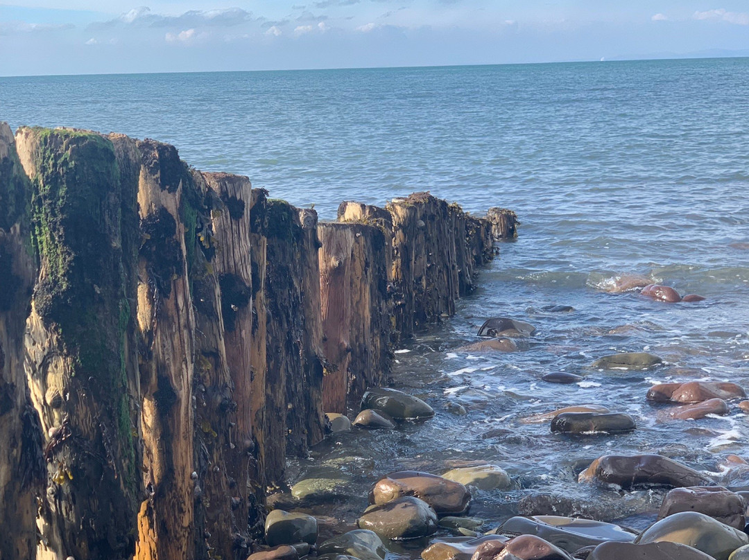 South West Coast Path - Bossington Landscape景点图片