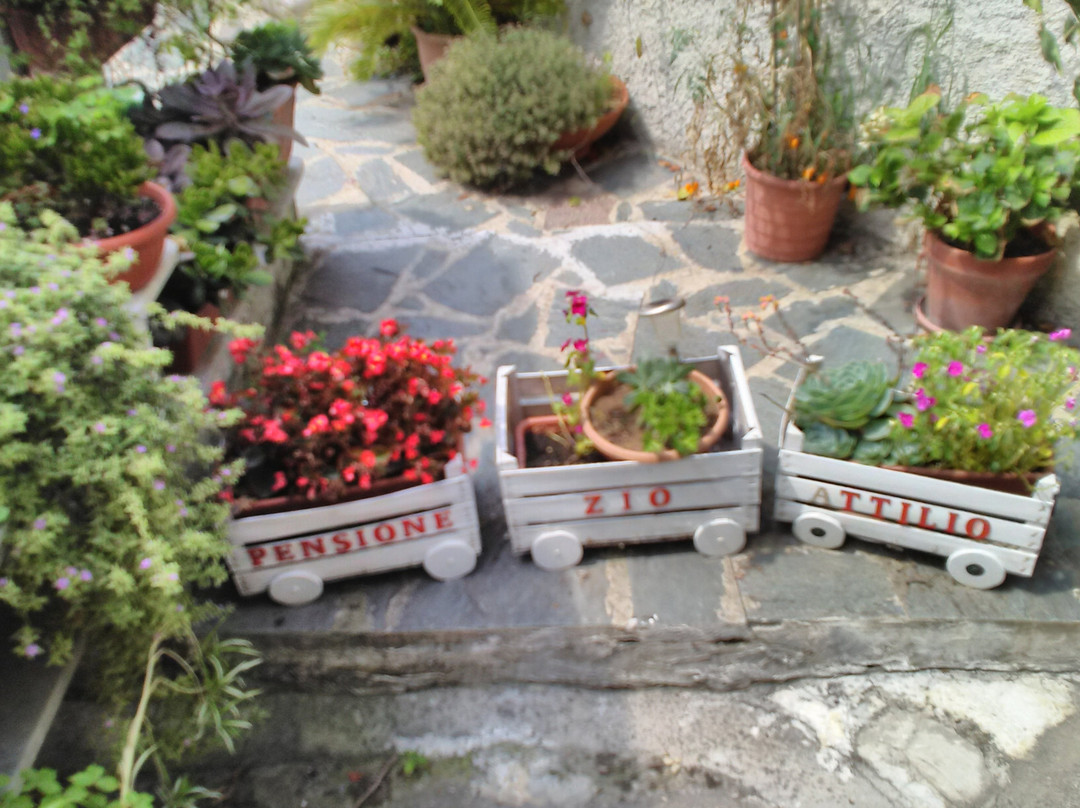 Pensione Zio Attilio主图