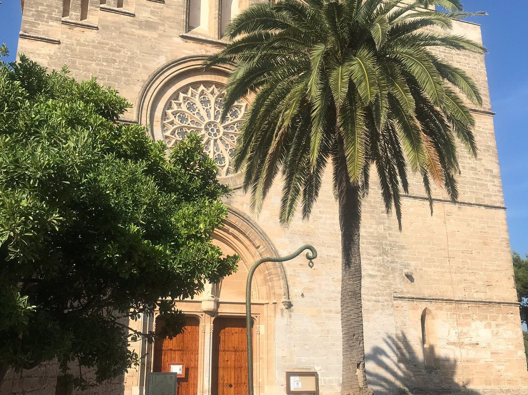 Església de Sant Jaume d'Alcúdia景点图片