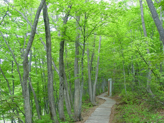 Asahi Shizenkan主图