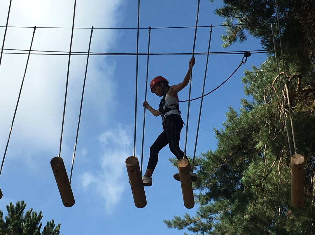 Center Parcs De Kempervennen主图