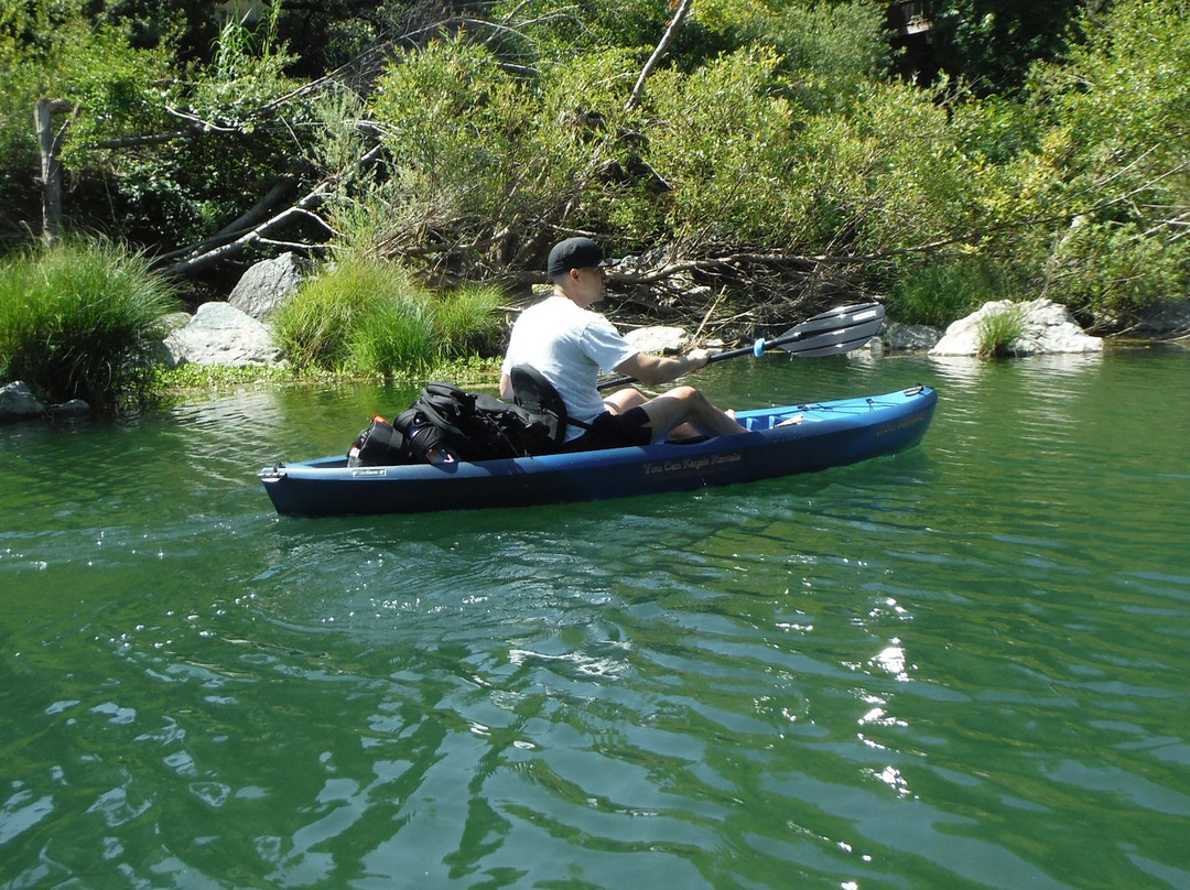You Can Kayak Rentals景点图片