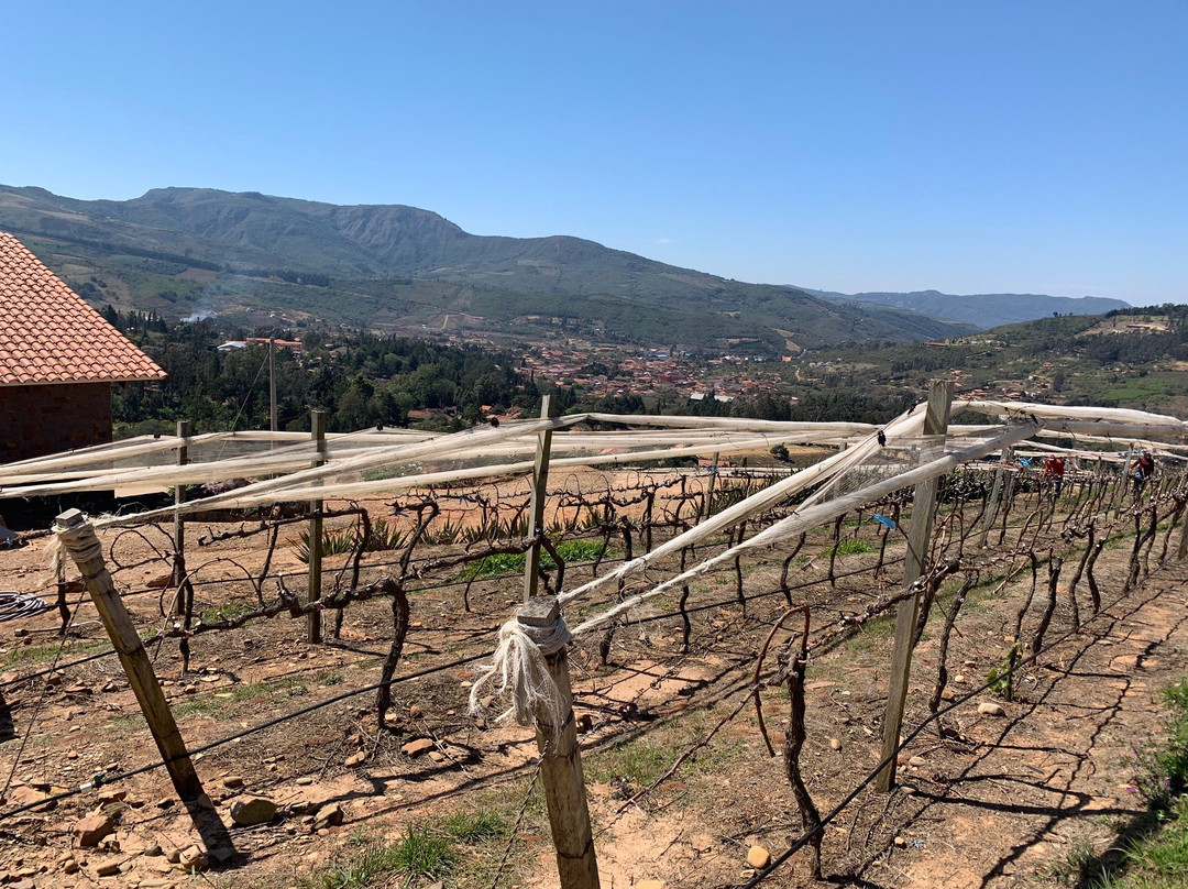 Vinos 1750 - Uvairenda Bodega & Vinedos-Samaipata必去景点