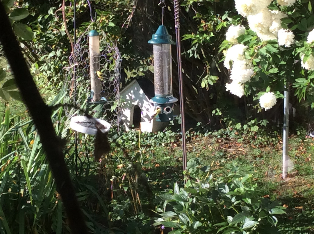 Harbourview Inn主图