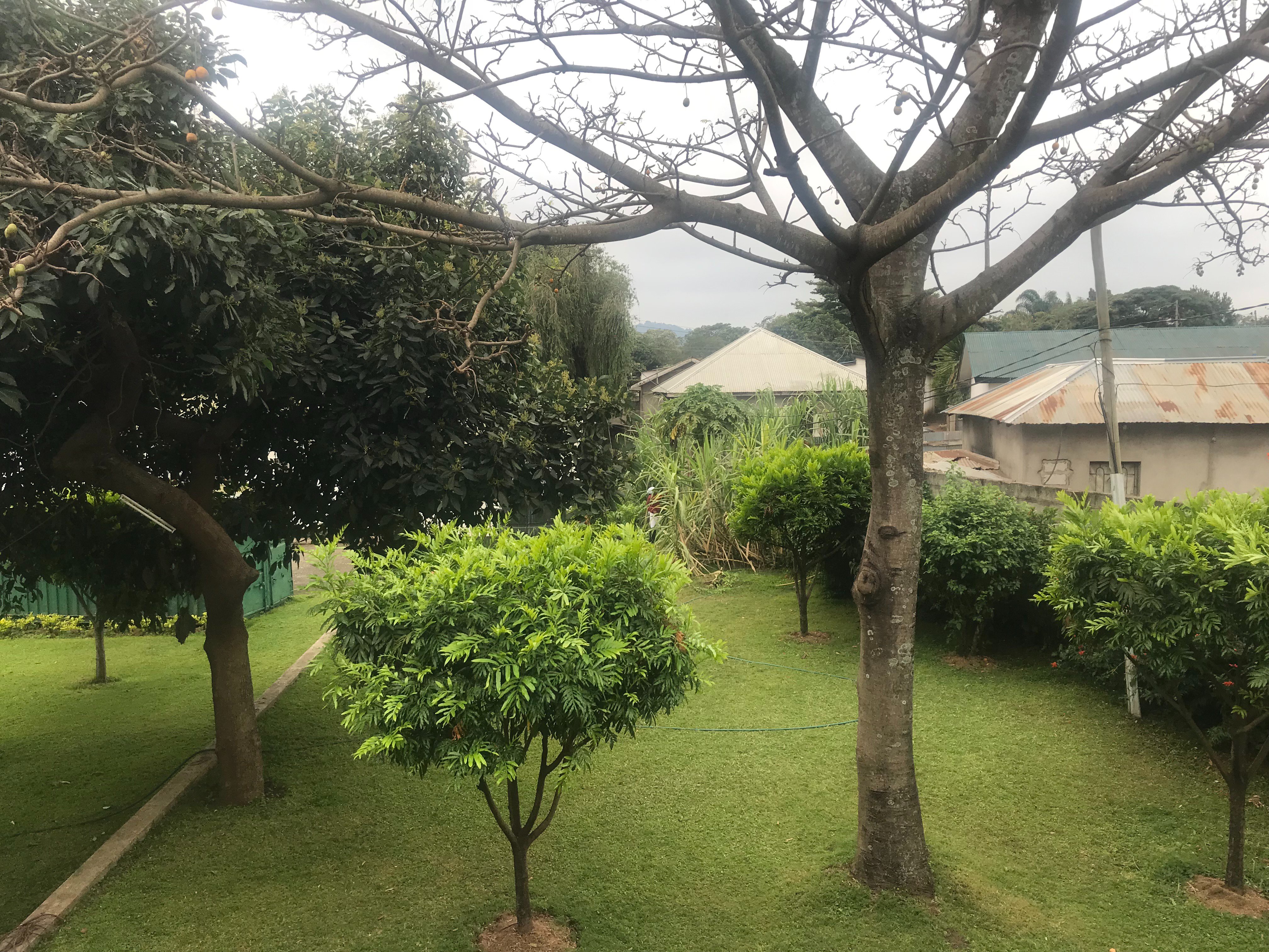 Tumaini Homestay-浴室