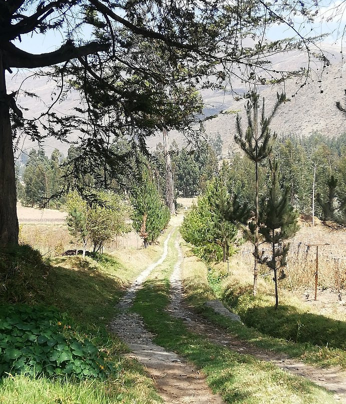 Hospedaje Ecologico Hacienda La Florida主图