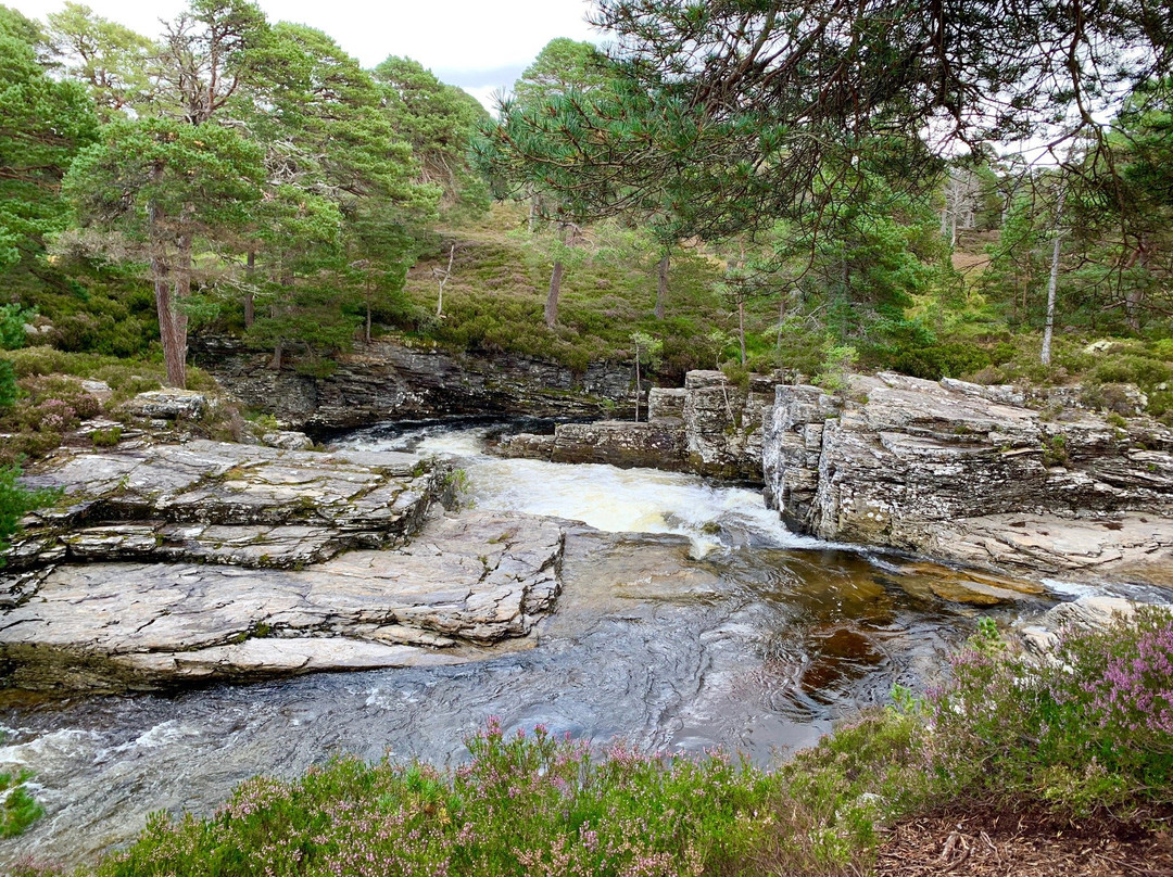 Mar Lodge Estate-Braemar必去景点