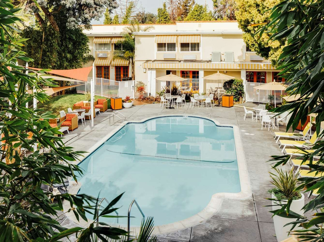 杰德威尔野棕榈酒店主图