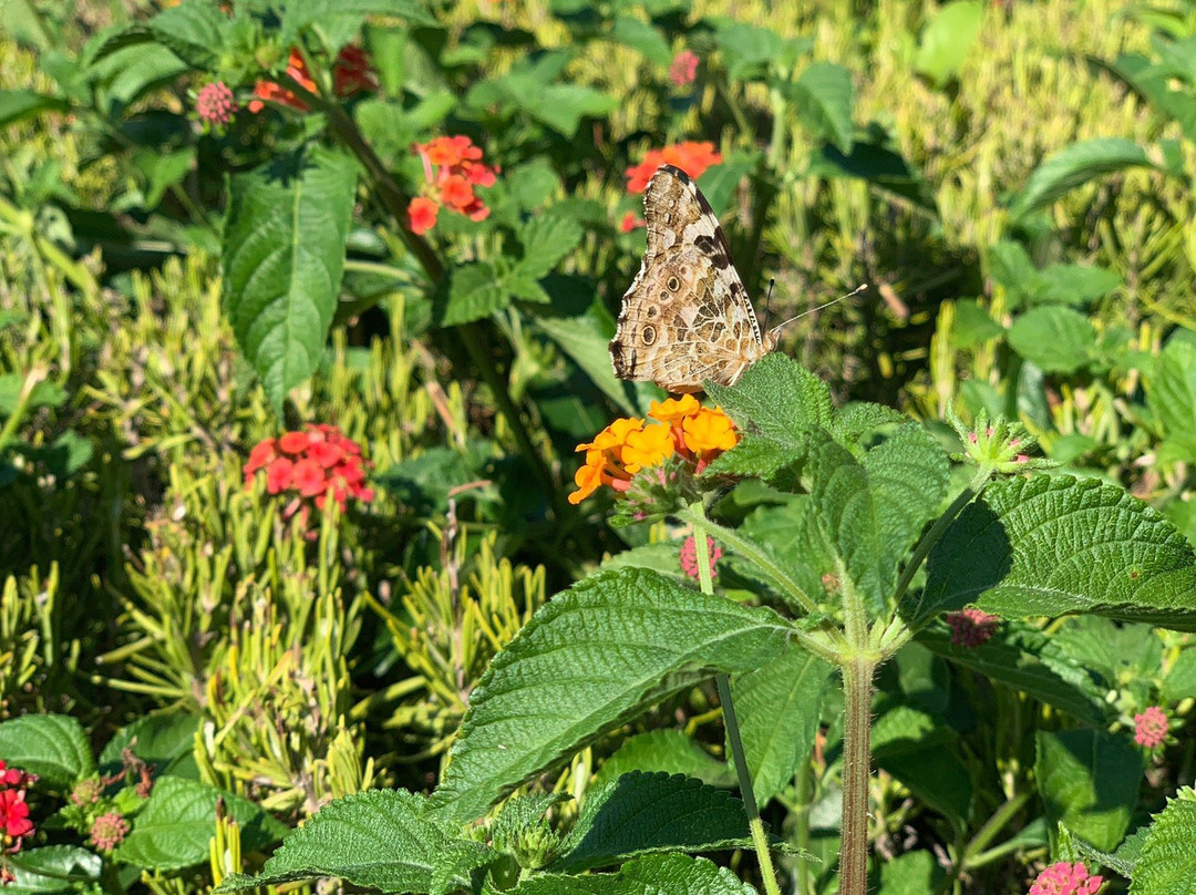 Iliovasilema Hotel主图