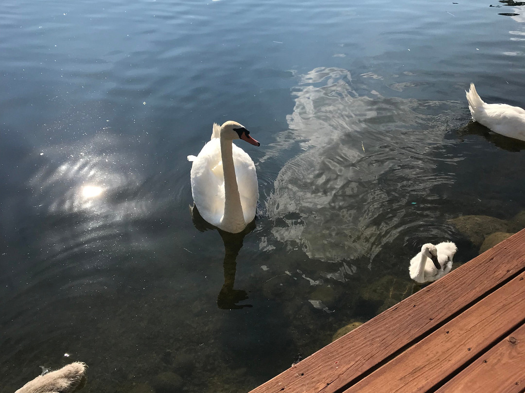 The Olde Mill Inn of Clarkston主图