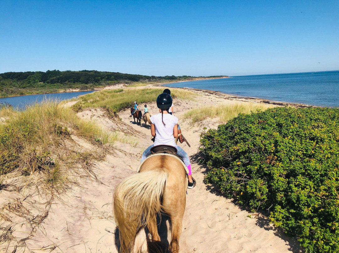 Deep Hollow Ranch-蒙托克必去景点