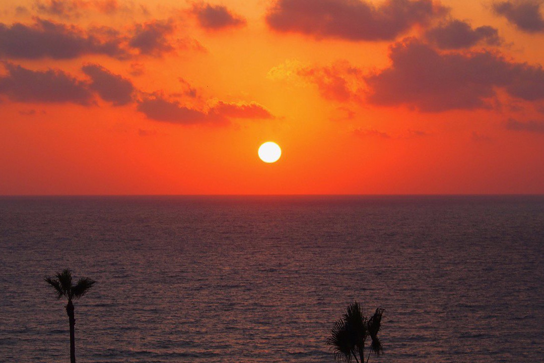 David Tower Hotel主图