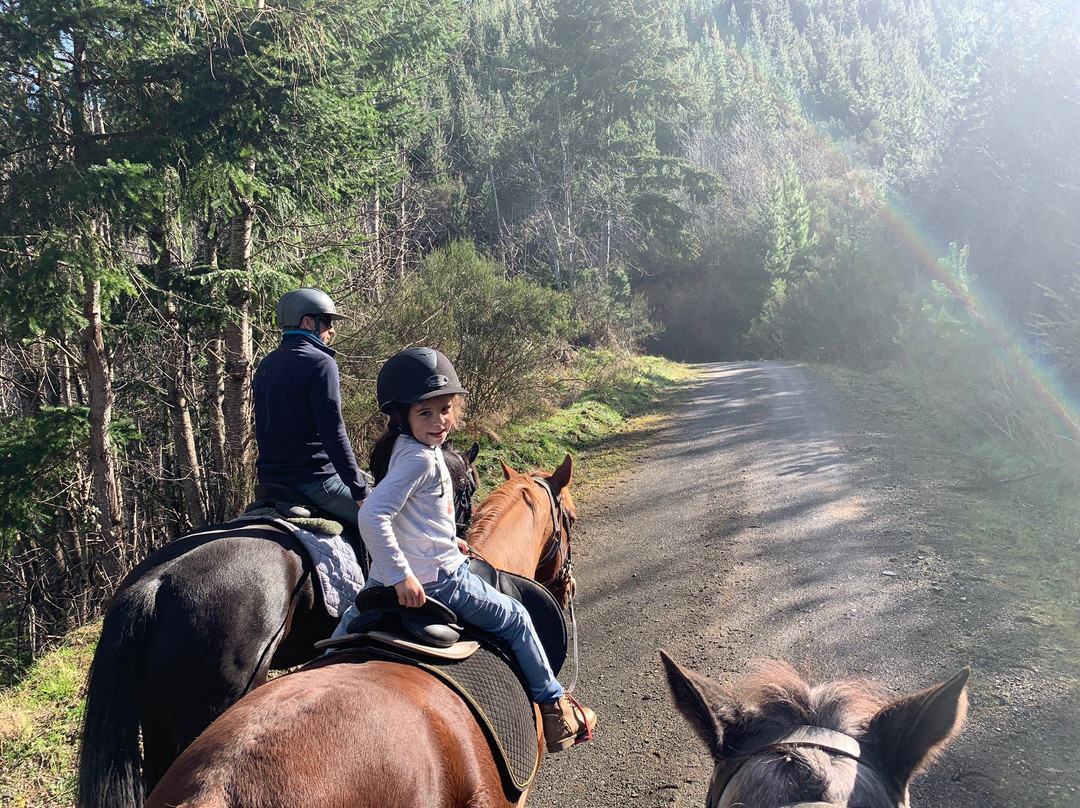 Hanmer Horse Trekking景点图片