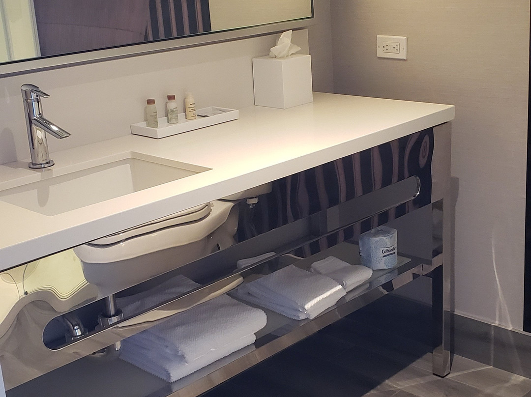 Renaissance Albany Hotel主图