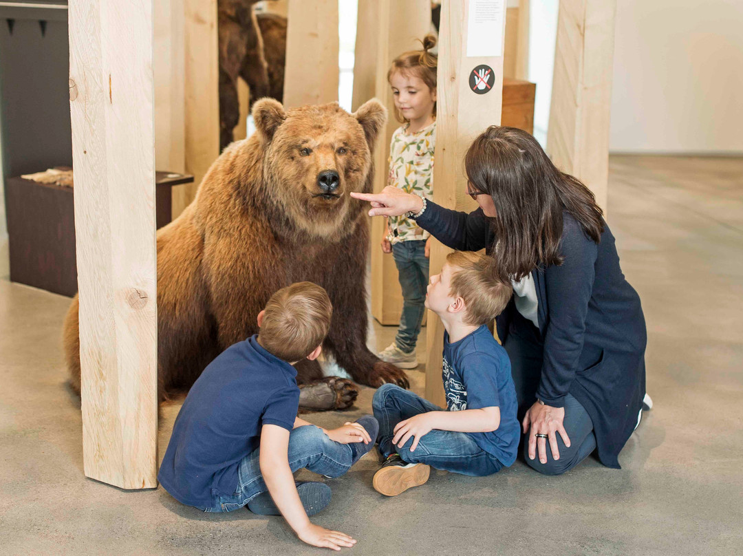 Naturmuseum St.Gallen-圣加仑必去景点