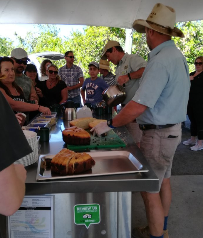 Whitsunday Crocodile Safari-艾尔利滩必去景点