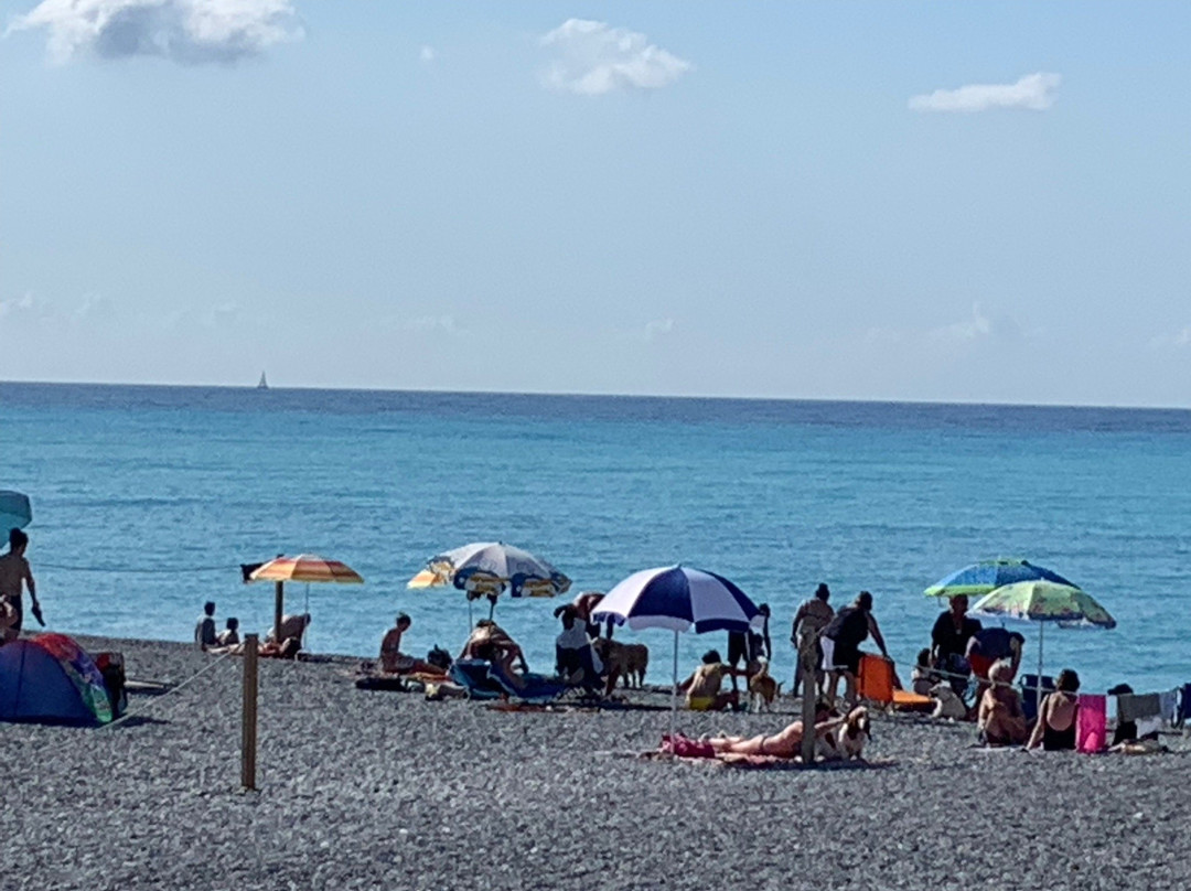 Spiaggia dei Cani景点图片