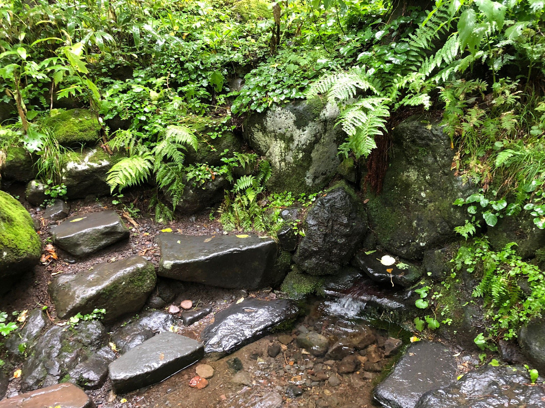 Kanro Spring Water-利尻富士町必去景点