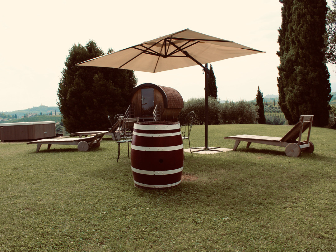 La Vigna di Sarah主图