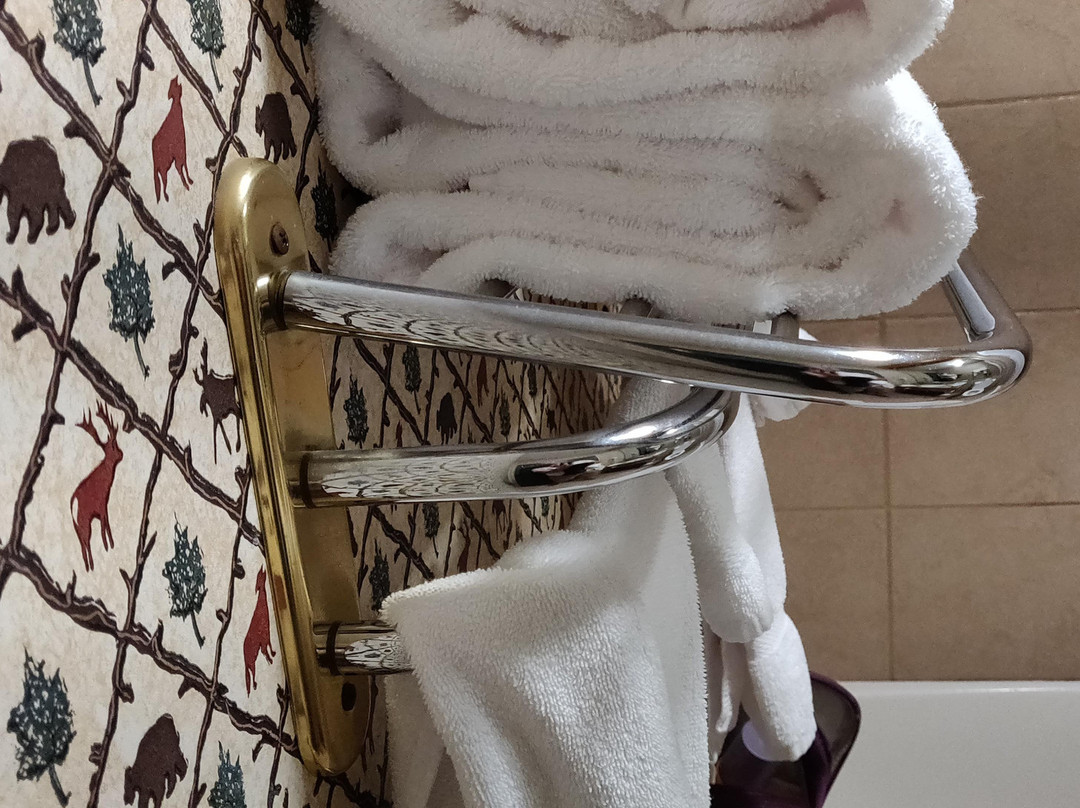 特拉弗斯城大灰狼洛奇酒店主图