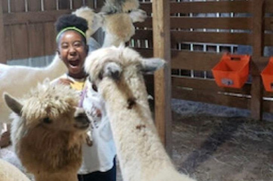 L & R Alpaca Haven Farm-Douglasville必去景点