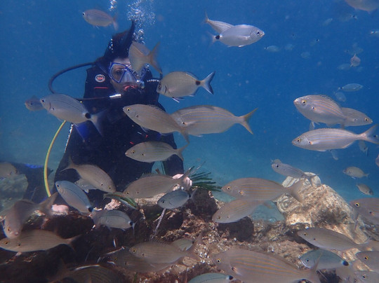 Aquasport Dive Center-库萨达斯必去景点