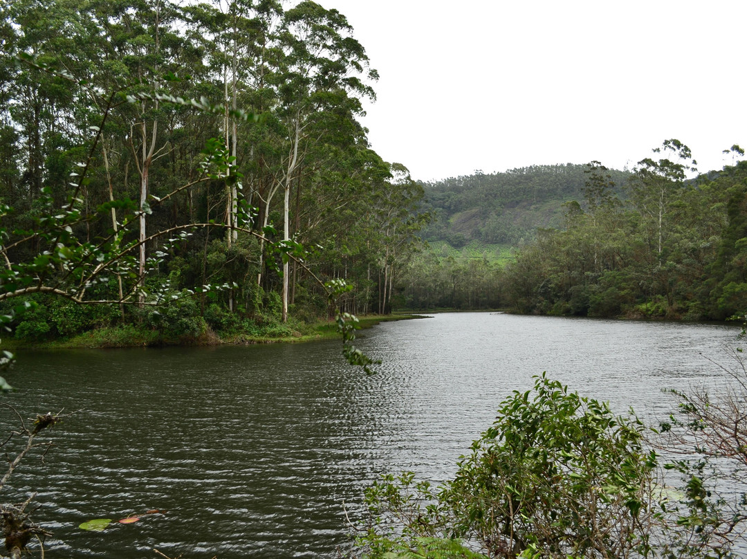 Sita Devi Lake-伊杜基必去景点
